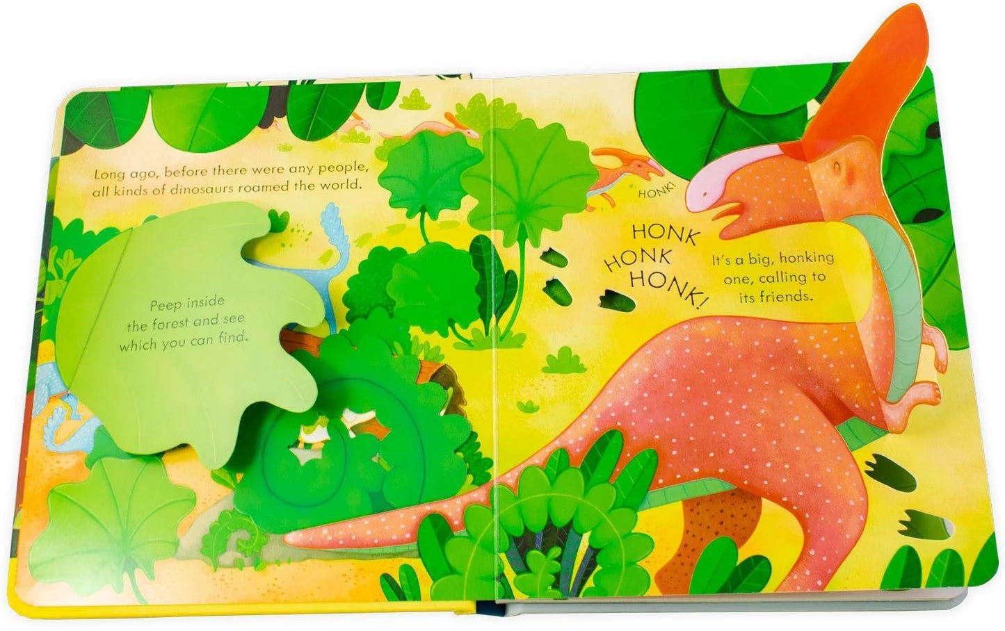 Usborne Peep Inside