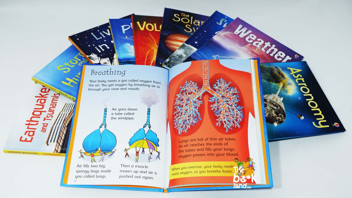 Usborne Beginners Science Collection (10 Books) | Box Set & Individual Books | Ages 4–7