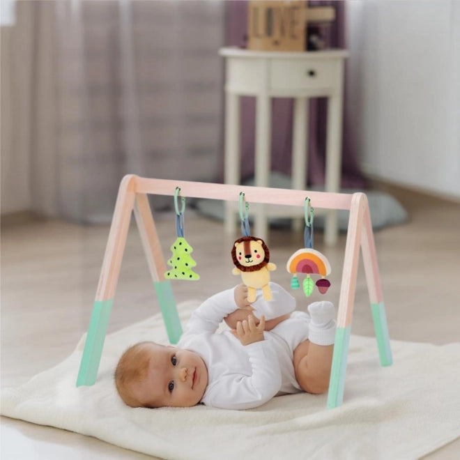 Tooky wooden gym fo baby