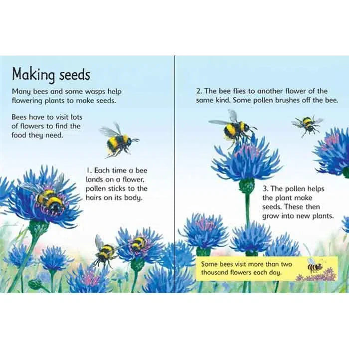 Usborne Beginners Nature Collection (Hardcover) | 10-Book Box Set | Ages 4-7