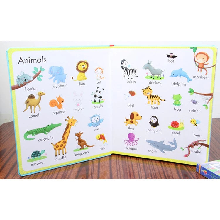 Usborne my first word book board book set