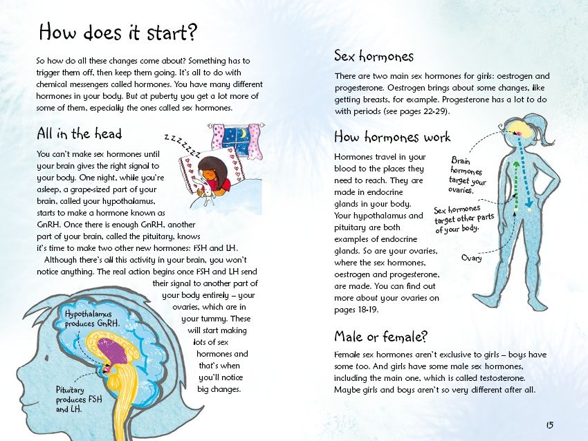 WHAT'S HAPPENING TO ME? (GIRLS EDITION) by Meredith, Susan ( Aut