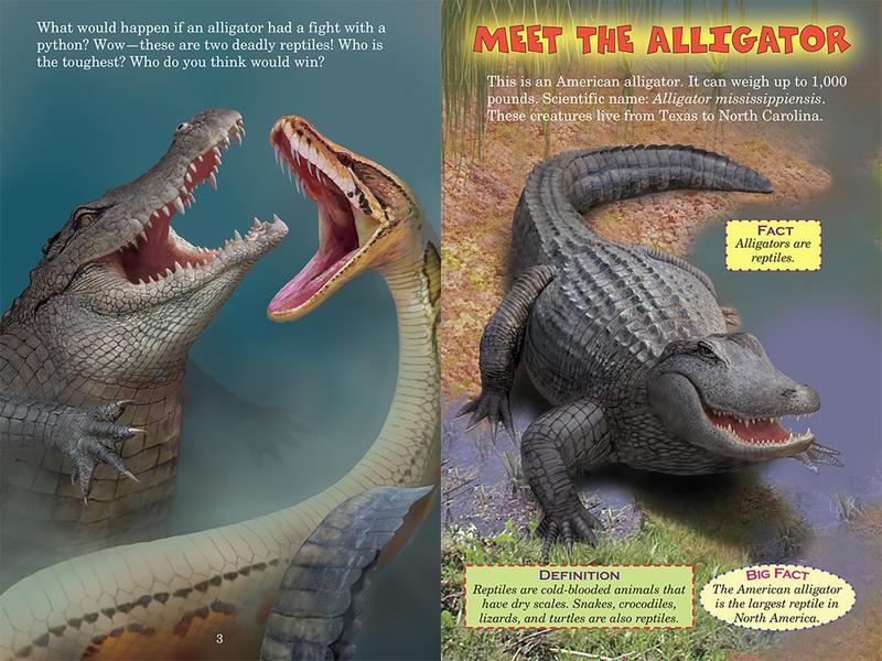Who Would Win? Animal Battles Collection | Complete Set or Individual Books | Scholastic